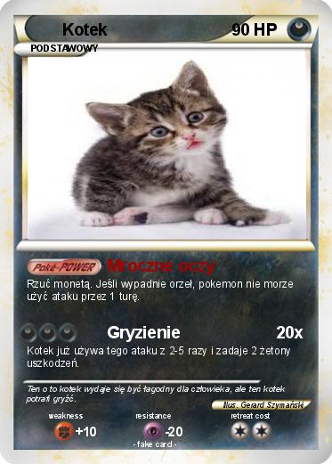Pokemon Kotek
