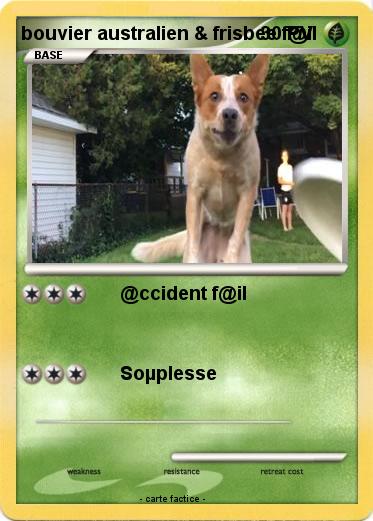 Pokemon bouvier australien & frisbee f@il