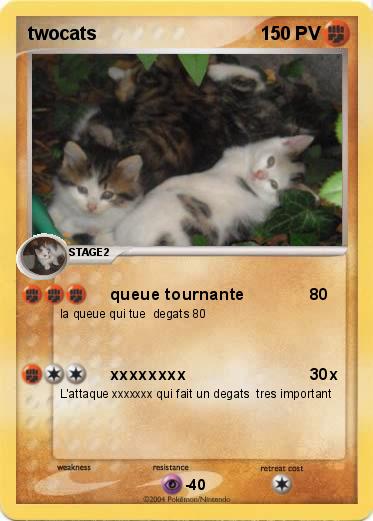 Pokemon twocats