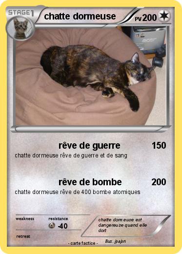 Pokemon chatte dormeuse