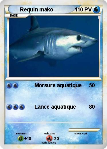 Pokemon Requin mako