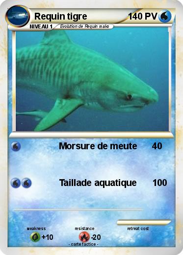 Pokemon Requin tigre