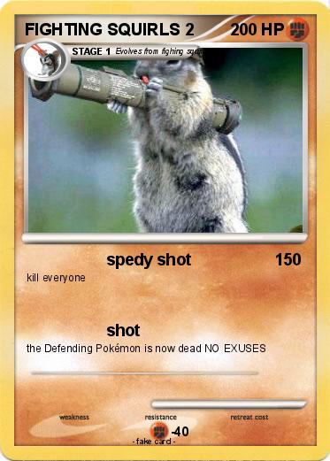 Pokemon FIGHTING SQUIRLS 2