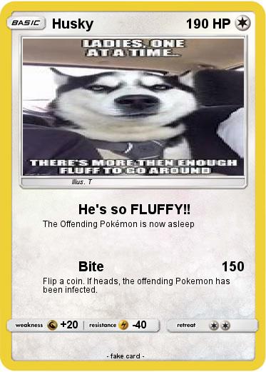 Pokemon Husky