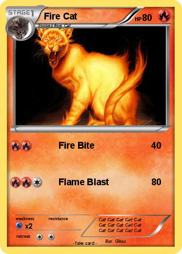 Pokemon Fire Cat