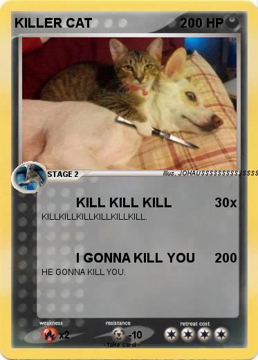 Pokemon KILLER CAT