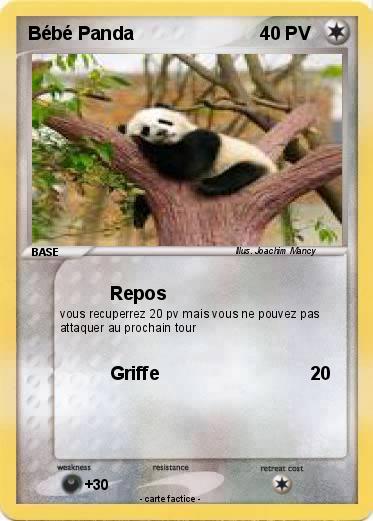 Pokemon Bébé Panda