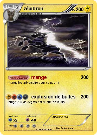 Pokemon zébibron