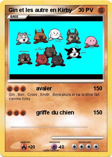 Pokemon Gin et les autre en Kirby