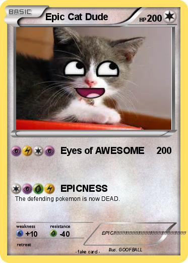 Pokemon Epic Cat Dude