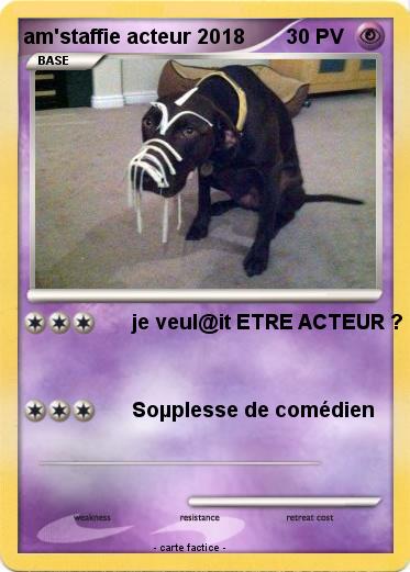 Pokemon am'staffie acteur 2018