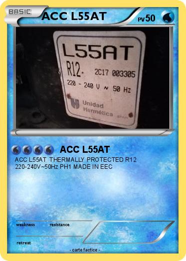 Pokemon ACC L55AT