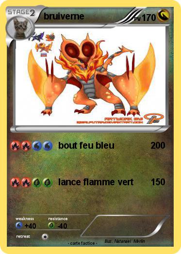 Pokemon bruiverne