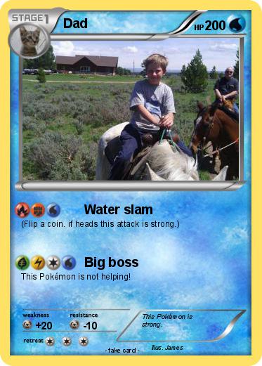 Pokemon Dad