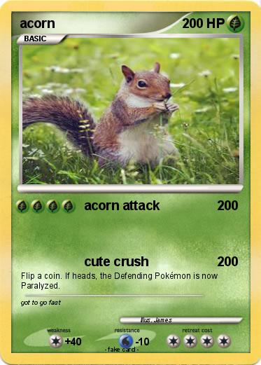 Pokemon acorn