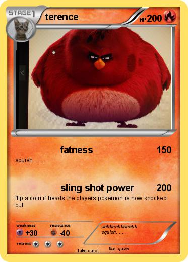 Pokemon terence