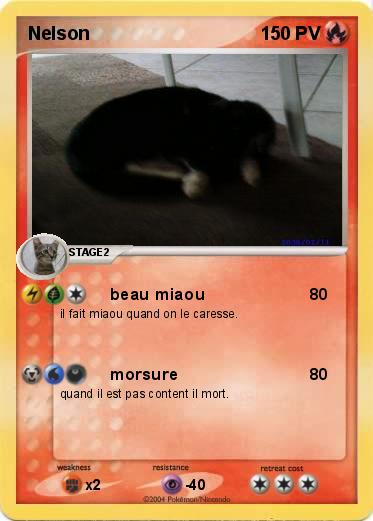 Pokemon Nelson