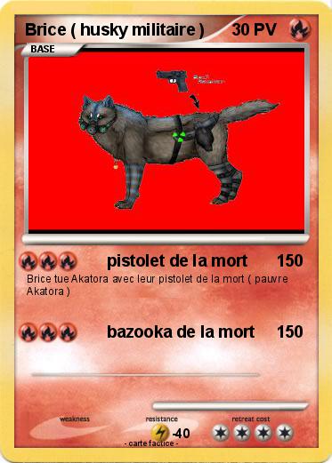 Pokemon Brice ( husky militaire )