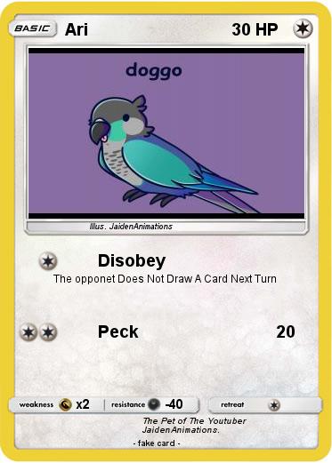 Pokemon Ari