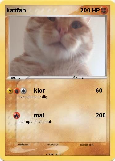 Pokemon kattfan
