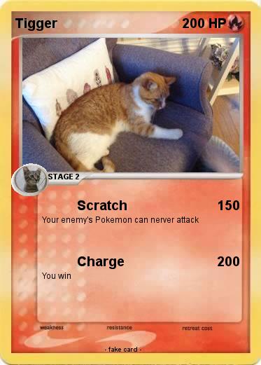 Pokemon Tigger