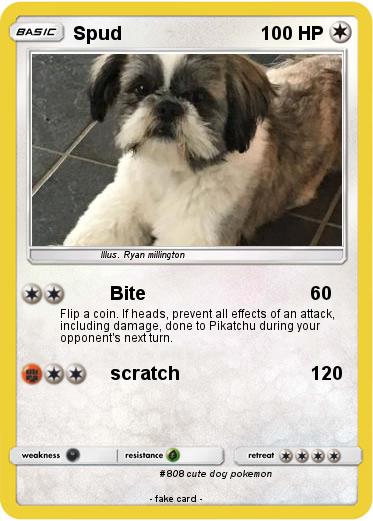 Pokemon Spud