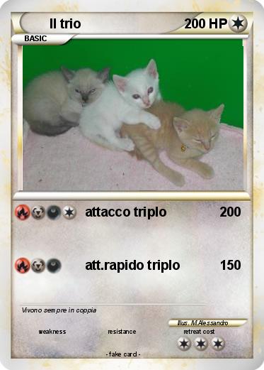 Pokemon Il trio