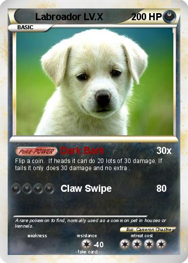Pokemon Labroador LV.X