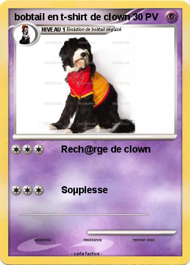 Pokemon bobtail en t-shirt de clown
