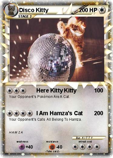 Pokemon Disco Kitty
