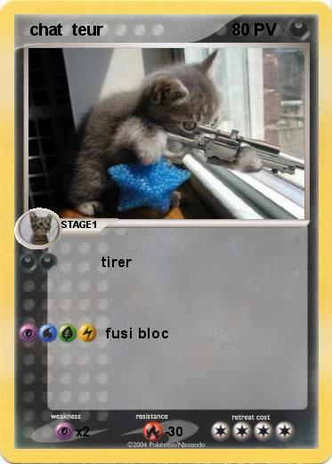 Pokemon  chat  teur