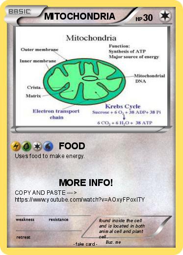 Pokemon MITOCHONDRIA