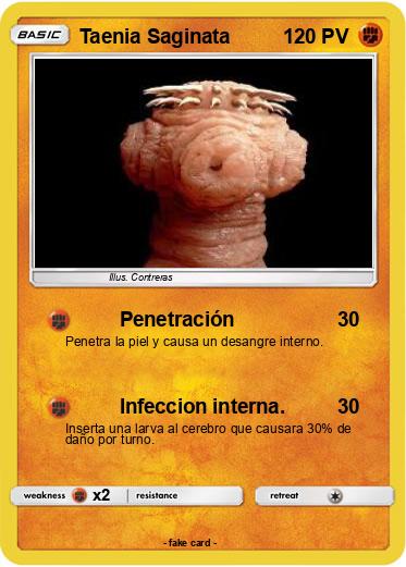 Pokemon Taenia Saginata