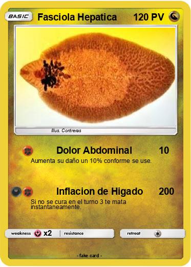 Pokemon Fasciola Hepatica