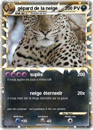 Pokemon gépard de la neige