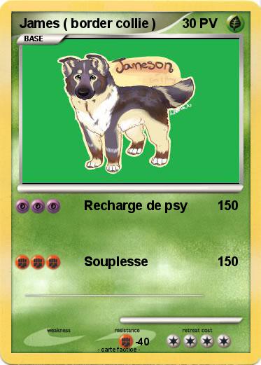 Pokemon James ( border collie )