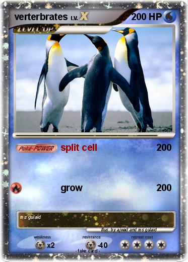 Pokemon verterbrates