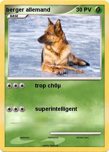 Pokemon berger allemand
