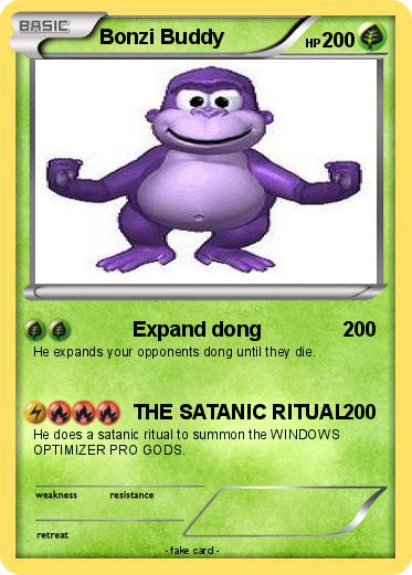 Pokemon Bonzi Buddy