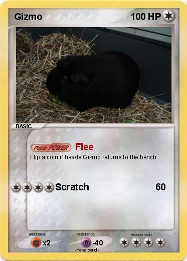 Pokemon Gizmo