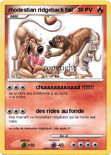 Pokemon rhodestian ridgeback fail