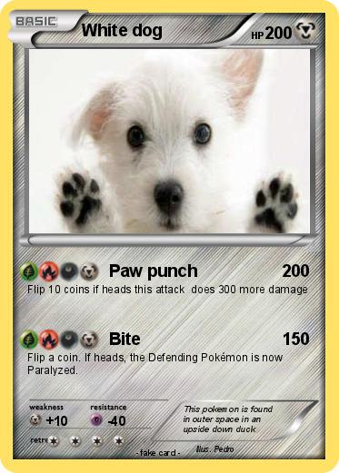 Pokemon White dog