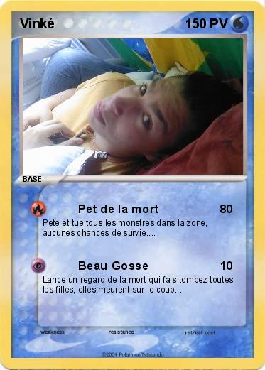 Pokemon Vinké