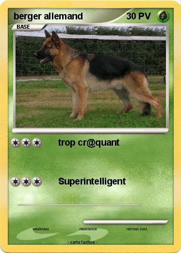 Pokemon berger allemand