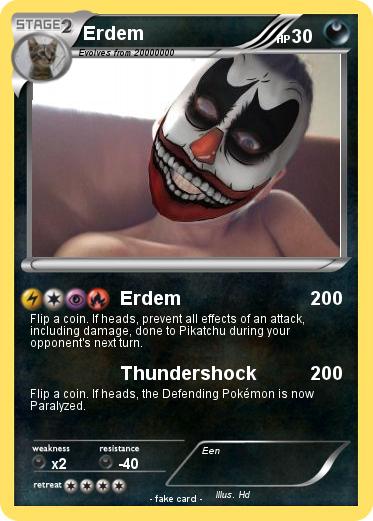 Pokemon Erdem