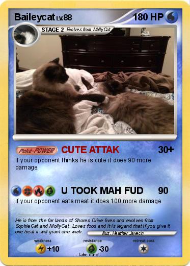 Pokemon Baileycat