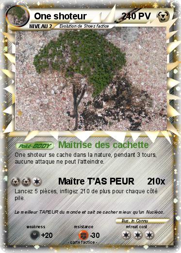 Pokemon One shoteur              2