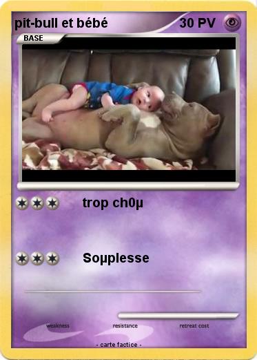 Pokemon pit-bull et bébé