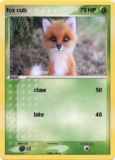 Pokemon fox cub
