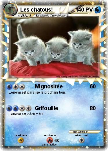 Pokemon Les chatous!